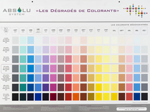 Panneau dégradés de colorants Absolu System